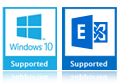 windows 10